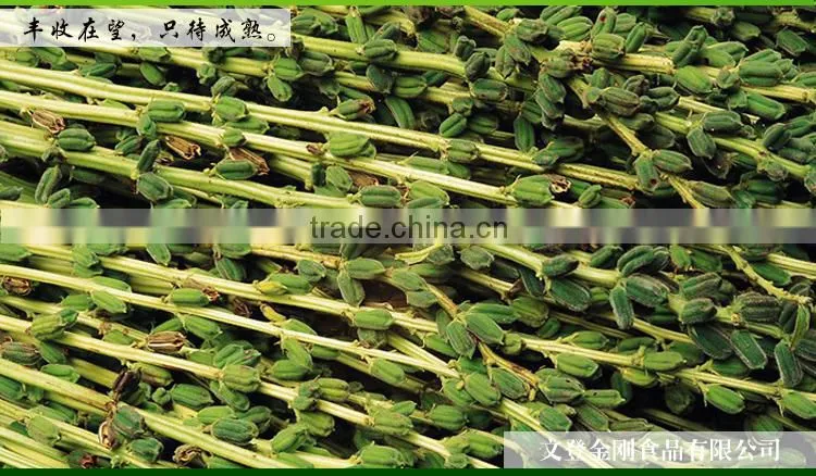 Sesame seeds for sale/Roasted sesame seeds