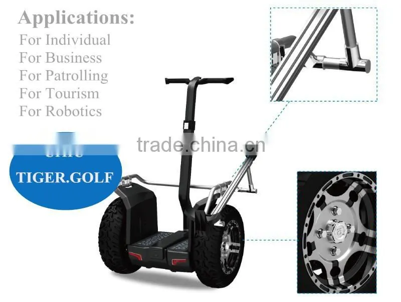 IO Chic Golf Smart Electric Car Motorcycle Adult Powerful Electric Beach Cruiser Bicycle
