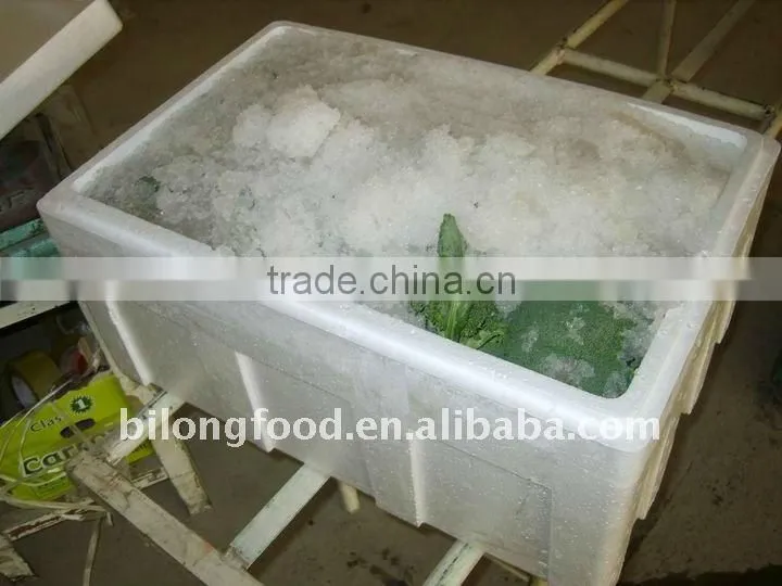 chinese fresh broccoli (11-13cm ) from new farm