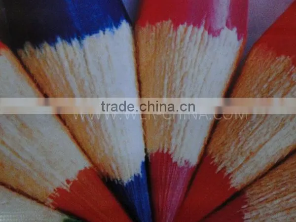 Popular 3.2m WER S3204 banner printer, 3.2m banner printer