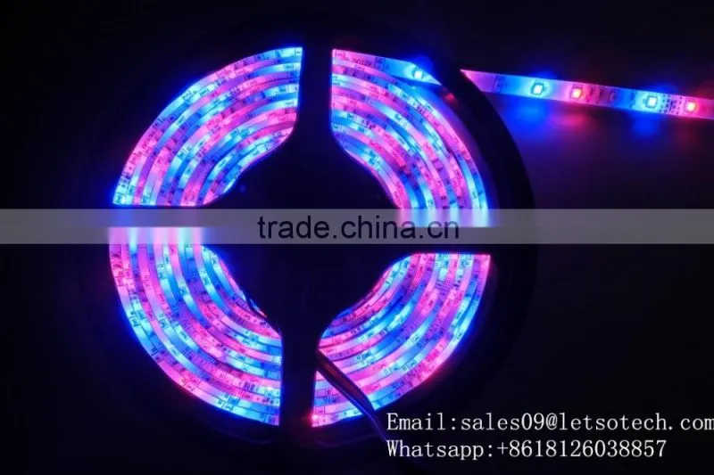 high lumen lowest price high class 12V SMD dc 12v 5m/roll led strip light ip65 new design led strip rgb 5050