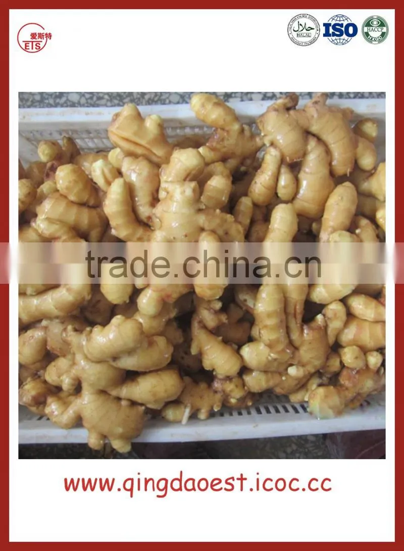 Chinese Fresh Ginger