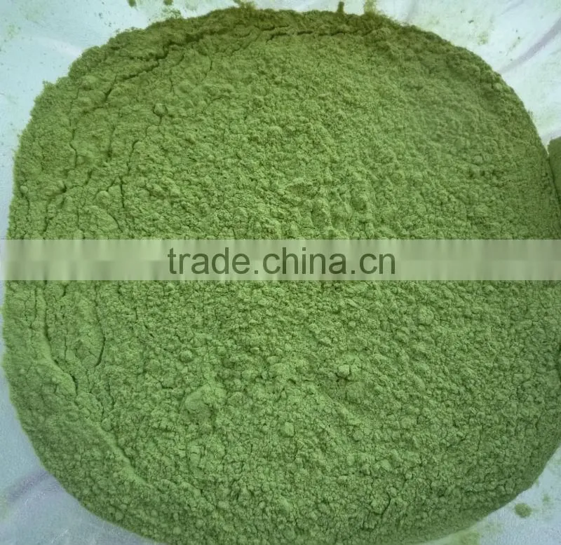 Health Drink Organic Wheat Grass Powder