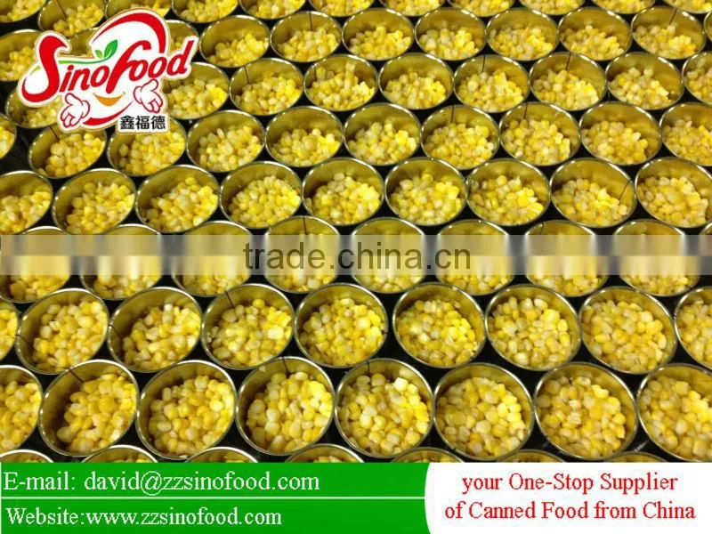 Canned Sweet corn in Brine Factory in China