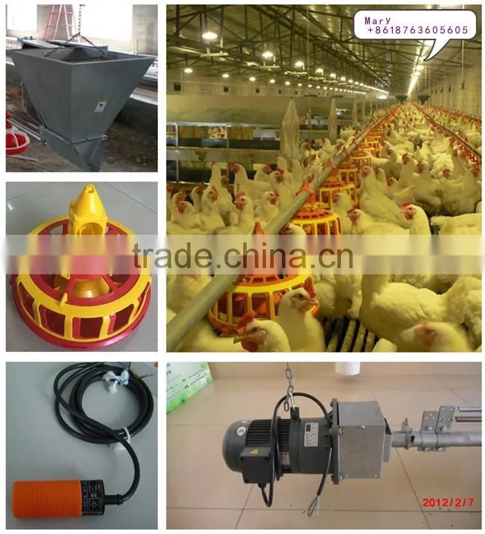 U-BEST full automatic poultry equipment for breeder chicken