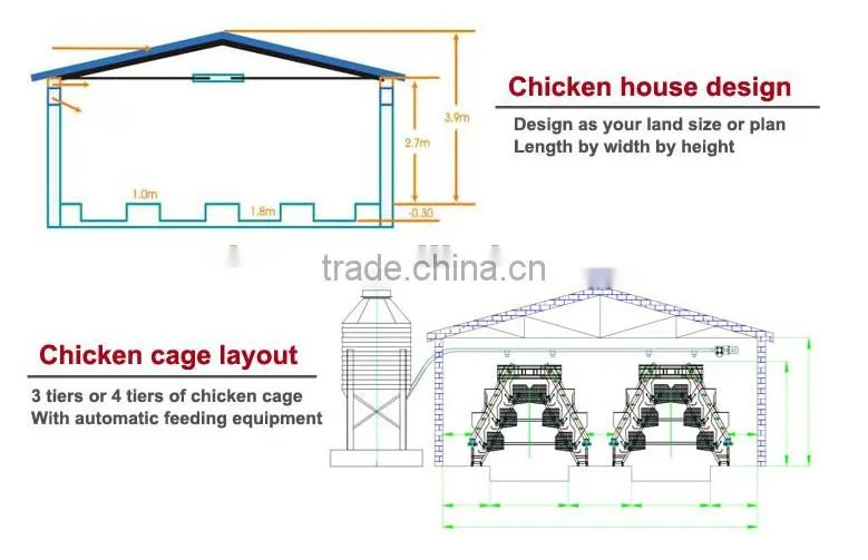 H type 56 chickens broiler chicken cage sale for Tanzania