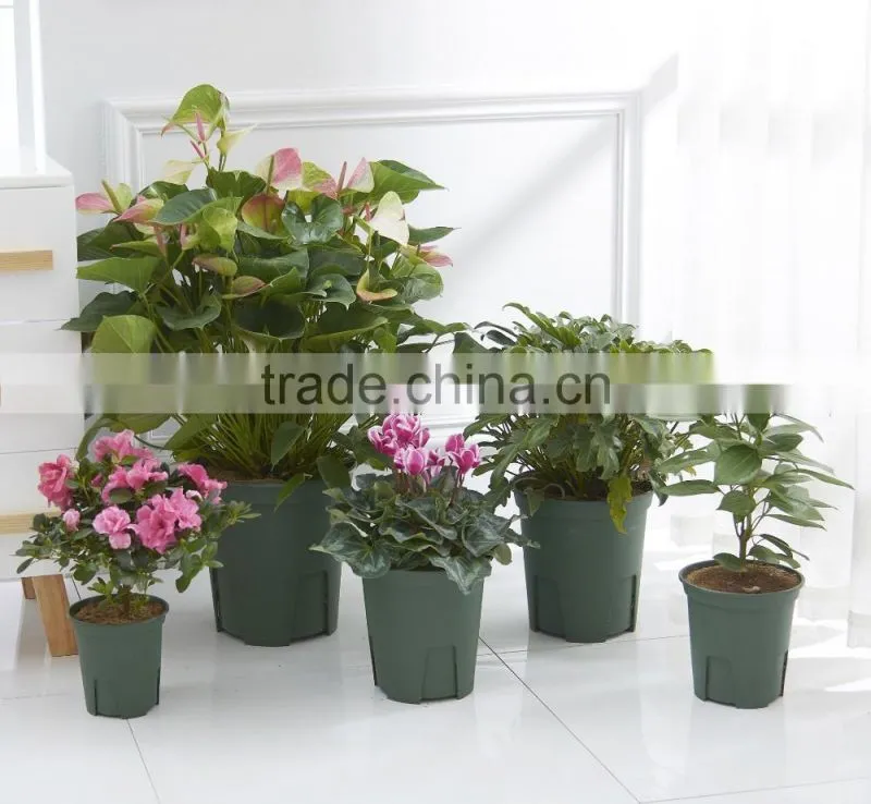 Green Vegetable Garden Decorative Tomato Modern Balcony Planter