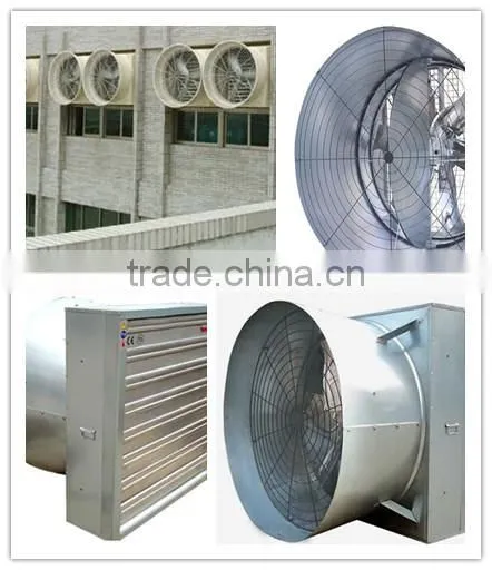 Chicken poultry fan