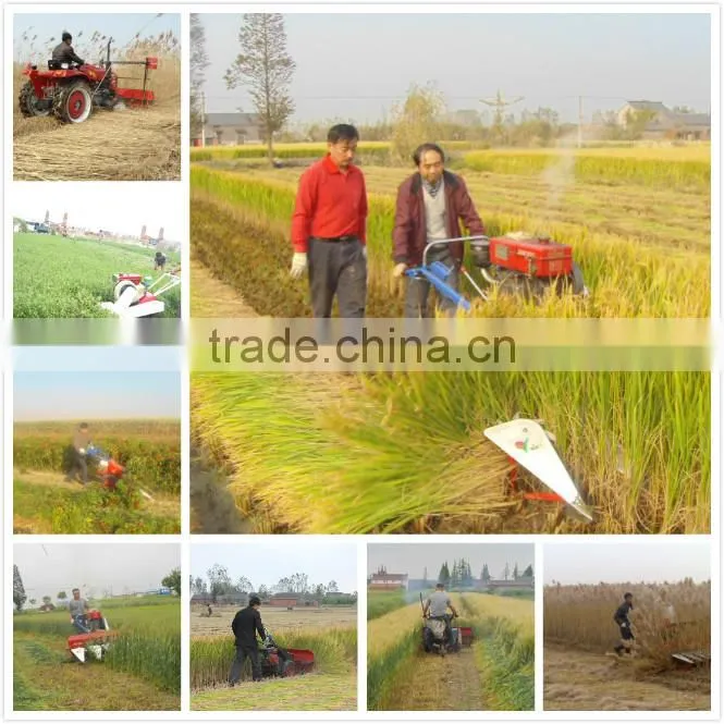 Farm use machine mini wheat harvest dryer