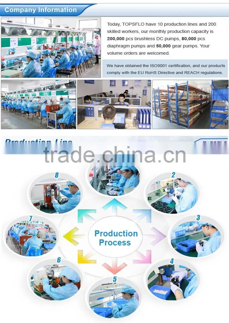 TOPSFLO Micro DC Pump Manufacture Changsha Hunan