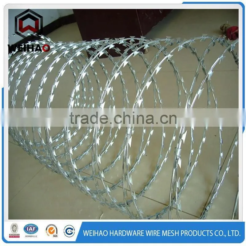 guard against theft razor blade wire fencing