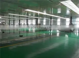 Shandong Wheatsun Food Co., Ltd. company overview - view 3