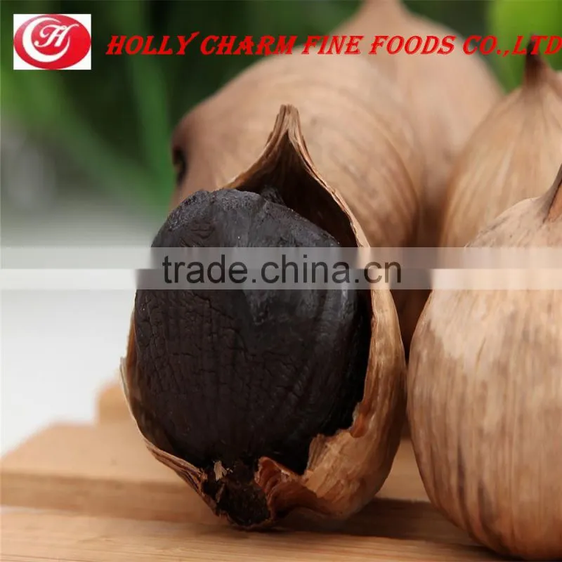 Manufacturer supply best price high quality solo black garlic