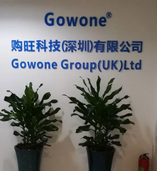 Gowone Technology (shenzhen) Co.Ltd company overview - view 1