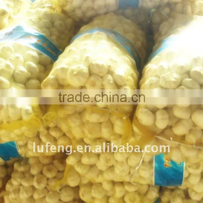 New Crop 2012 Chinese White Garlic