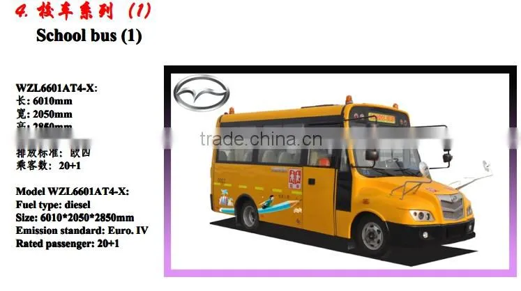 8m School Bus