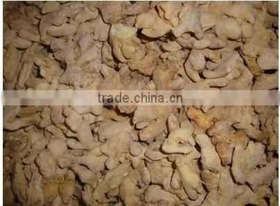 factory wholesale dry ginger with high quality