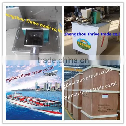 Professional electric pasta maker,cheap pasta making equipment