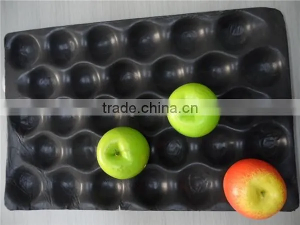 PS Plastic Fruit Tray