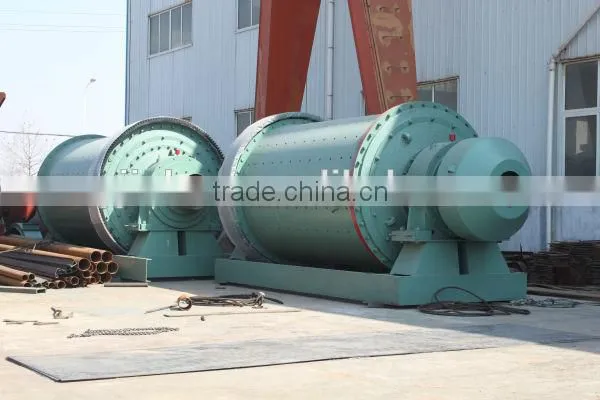 Mineral Processing/Gold Production Equipment Rolling Bearing Mill Accessory