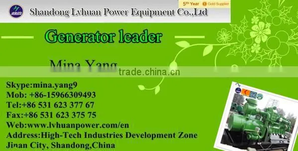 CE certified 10kw - 1mw methane coal gas generator /shale gas generator for sale