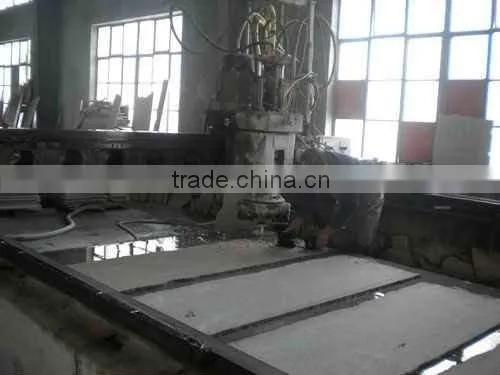 TJ-320*200 Bridge Type Single-head Leveling Machine