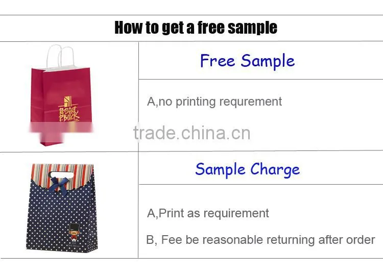 Purple Luxury Paper Hand Bag Shopping Packaging Gold Logo Custom Printing