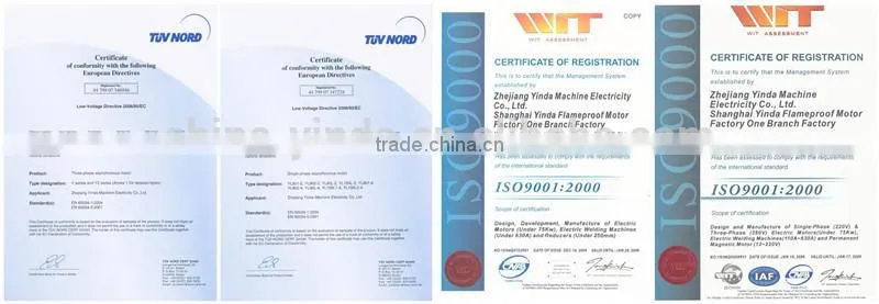 Single Phase ac motor 230v 100w