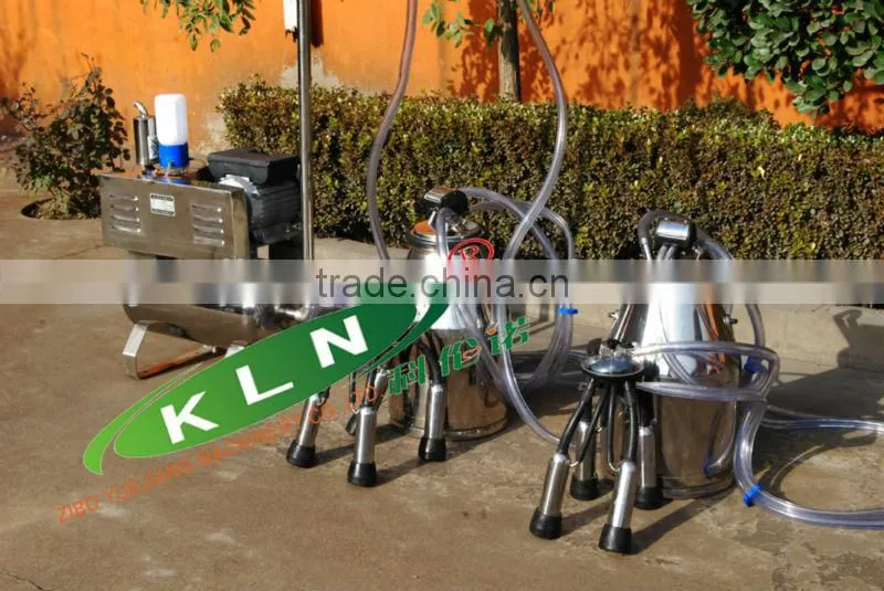 milking machine for cow