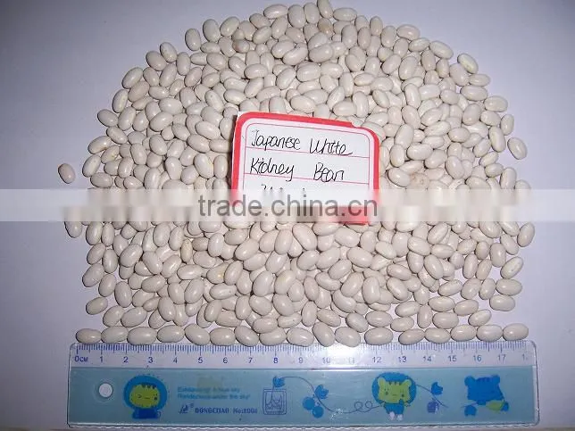 2015 white kidney beans for sale with cheaper price from china