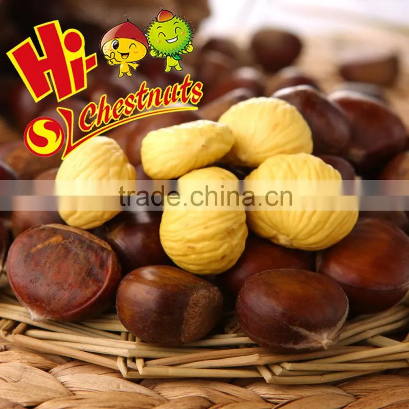 Chinese Chestnut Price Per Kg Mesh Bag Chestnuts