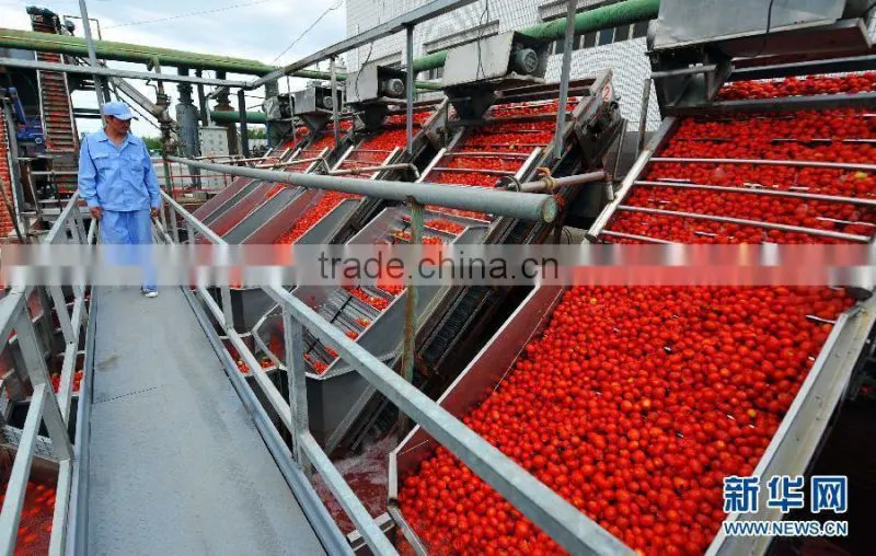70g 56g stand pouch tomato paste double concentrated 28-30%