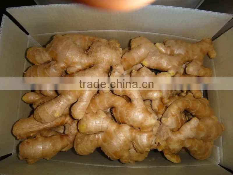 Fresh dry ginger