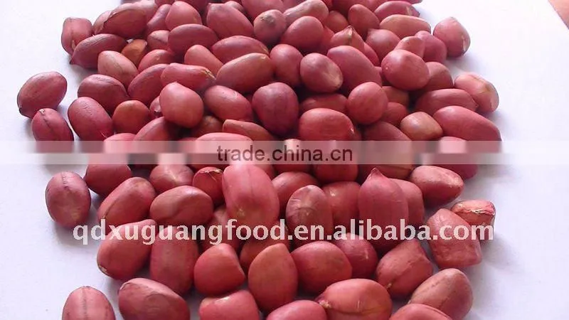 2016 new arrival groundnut blanched peanuts