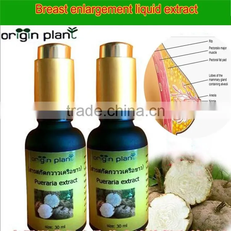 Nature herbal extract massage for big chest oil