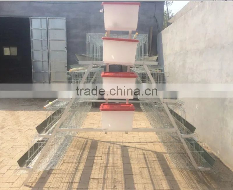 FRD 2016 Poultry farm equipment automatic battery design chicken egg layer cages /bird cage for sale/decorative bird cages