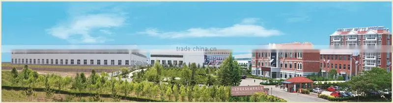 project hydraulic cylinders from shandong province made in China