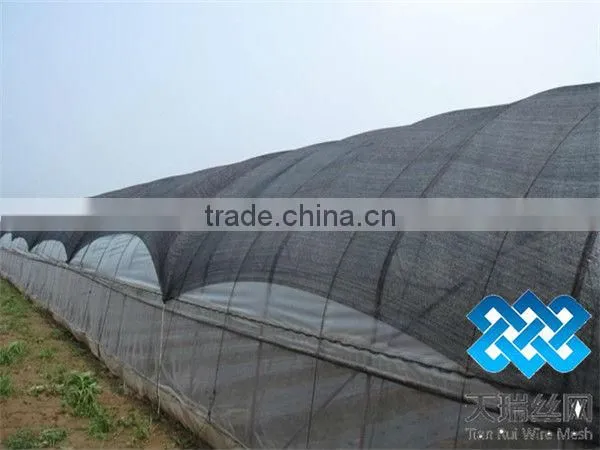 Summer sun shade net/pe green shade net /construction shade net