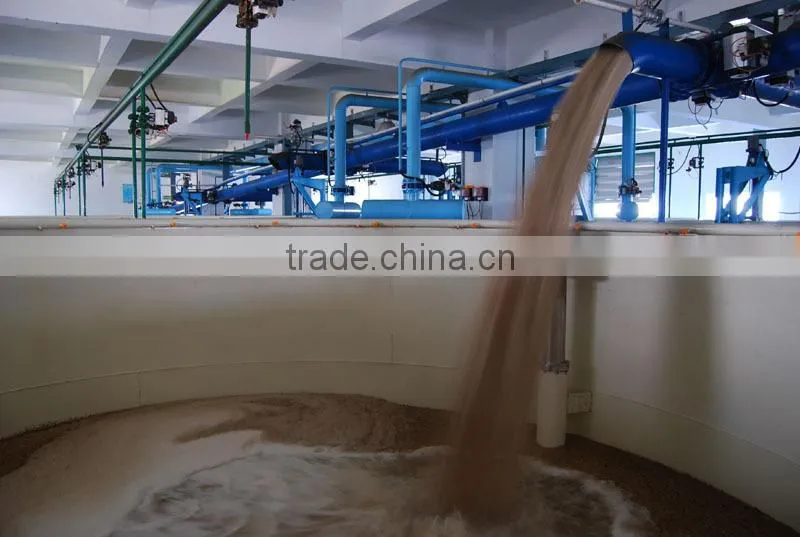 Beer barlty malting equipment