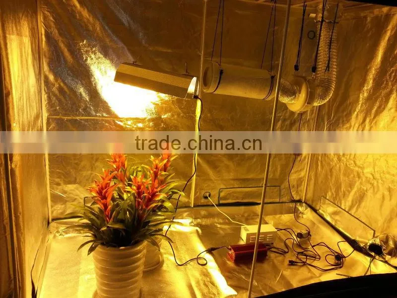 Hydroponics Growing system/Hydroponics system