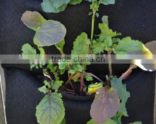 Felt Fabric Living Wall Mounted Planter Vertical Garden Systems