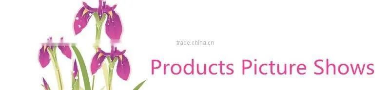 wholesale sepcial offer dry oasis floral foam