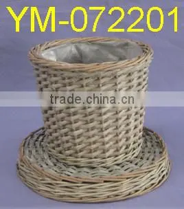 Cheap Garden Plant and Pot