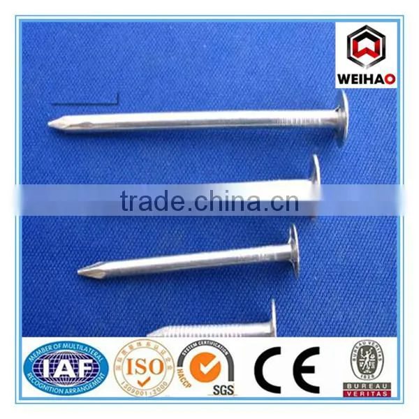 roofing nail with flat head