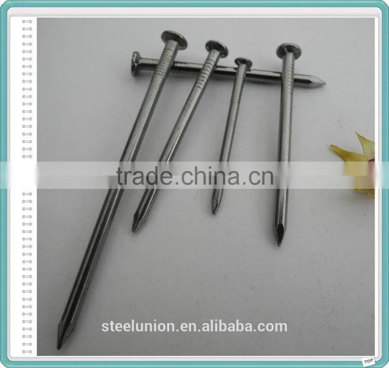 Factory Common Wire Nail/Common Nail for Construction/Common Nail