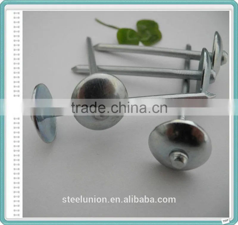 Roofing Nail/Galvanized Roofing Nail/Umbrella Head Roofing Nail