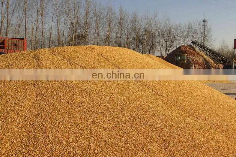 Hot Selling Wheat Winnower Machine/Corn Winnower Machine