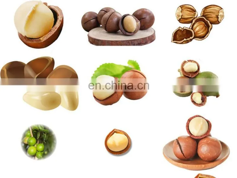 professional macadamia nut cracker machine for sale