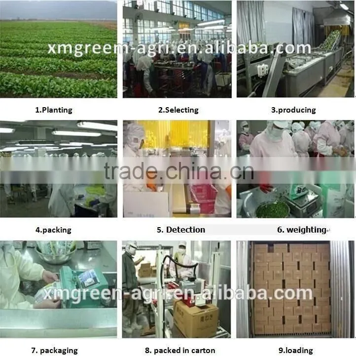 frozen fresh soybean