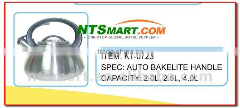 2012 new style stainless steel kettle